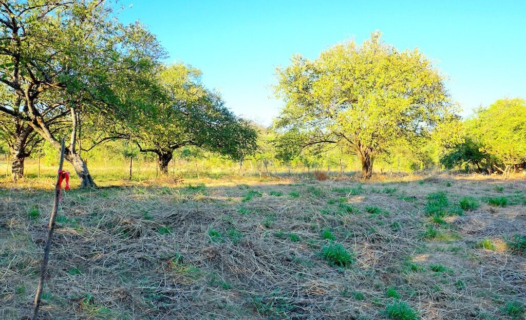 27 de Abril Land ~ Prime Land Opportunity with Main Road Frontage