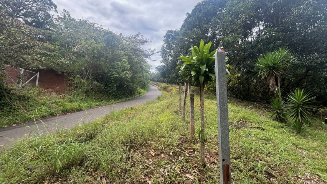 231m2 (almost 10 acres) with a large number of fruit trees ideal for development