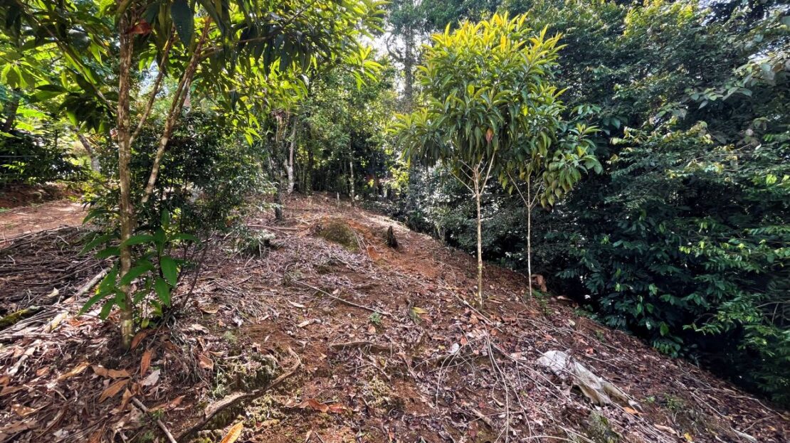 Affordable Land with Stunning Views in Chimirol