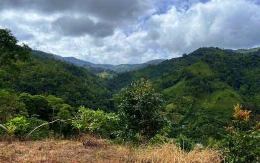 Land For Sale – Chimirol Rivas Property With 1.4 Hectares Of Potential