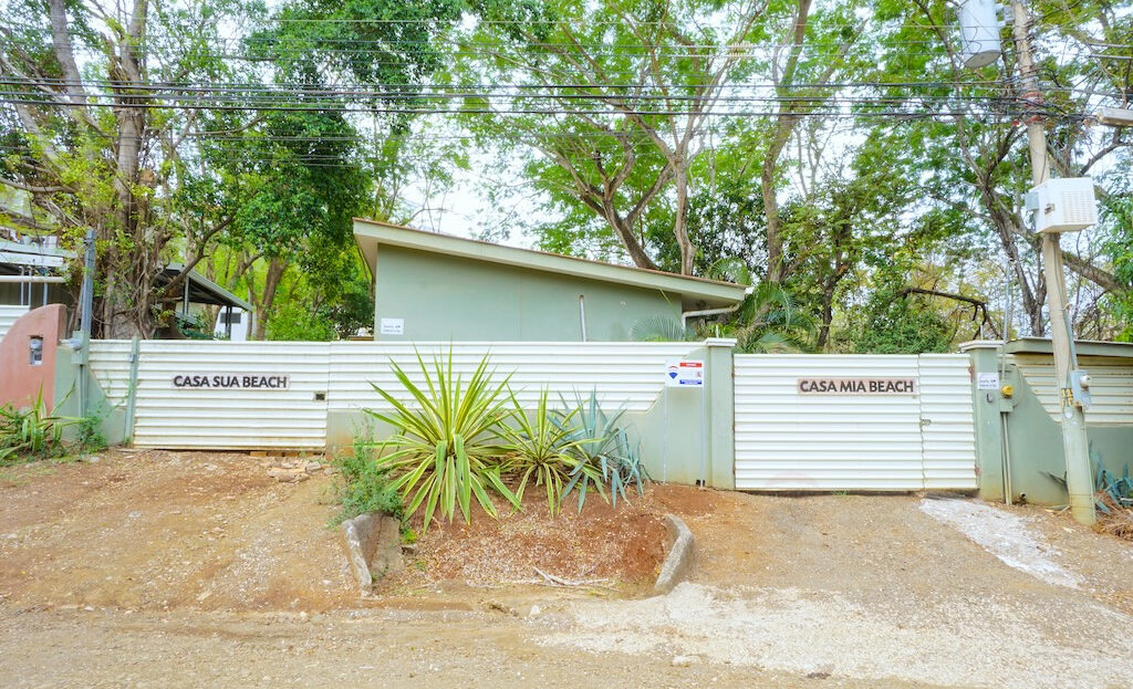 Tamarindo