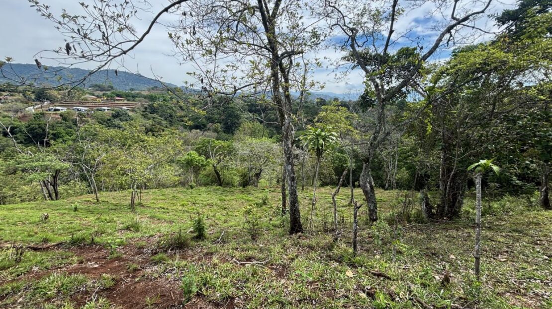 Costa Rica Real Estate