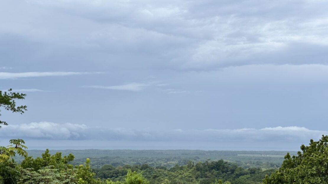 Parrita