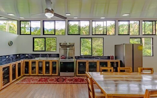 OFF GRID – SELF-SUSTAINABLE HOUSE FOR SALE IN SAN PEDRITO,(1,3HECT) PEREZ ZELEDON