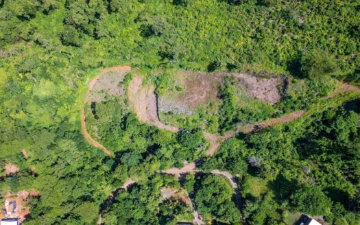 Scenic Ocean Views & Serenity in Finca Los Pargos