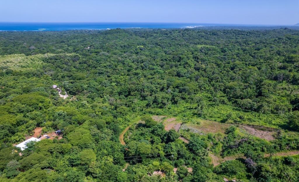 Scenic Ocean Views & Serenity in Finca Los Pargos