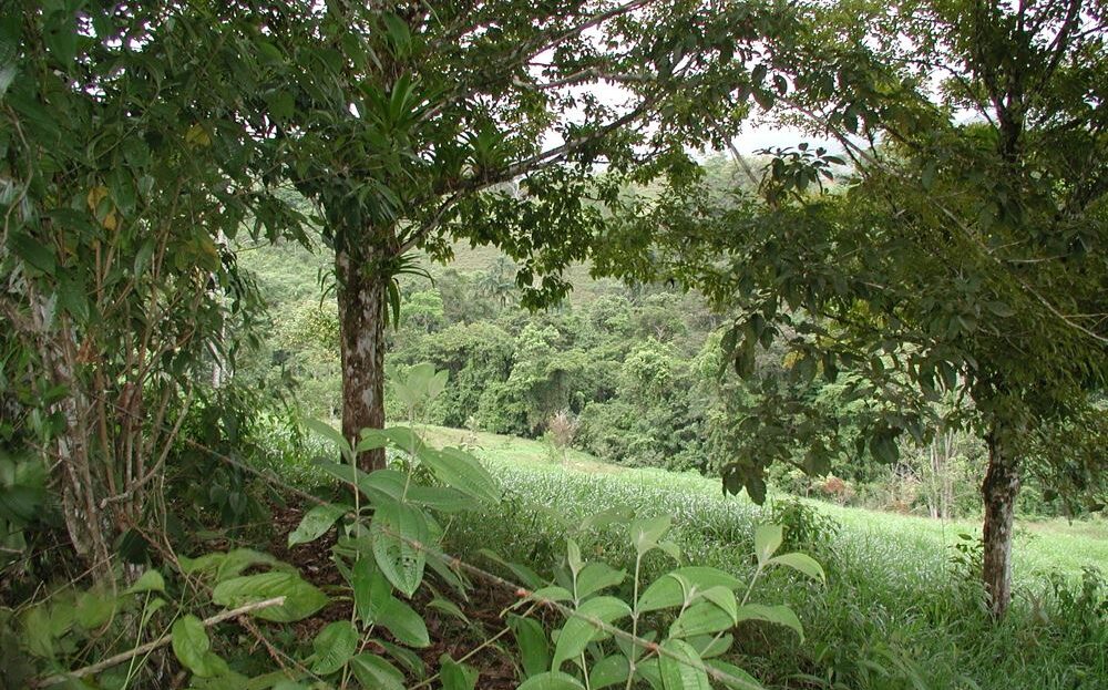 Quepos Costa Rica