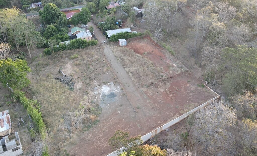 Matapalo