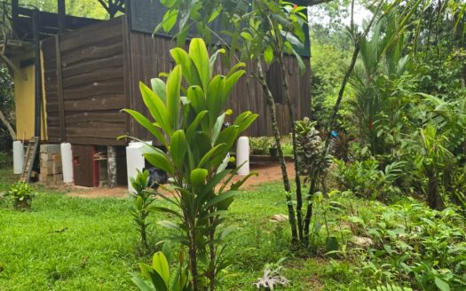 Osa>Playa Hermosa de Osa For Sale 35341 | RE/MAX Costa Rica Real Estate