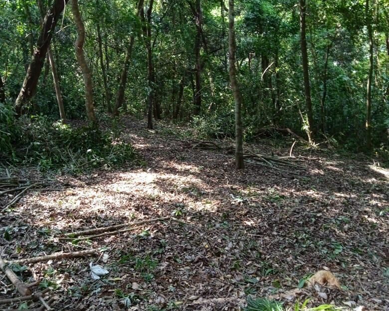 Costa Rica Real Estate