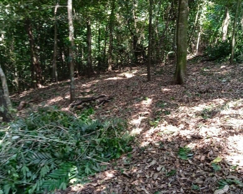 9301m2 (almost 2.5 acres) located on top of the new private community Finca Vega