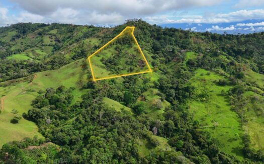For Sale – 9.3 Hectares in Platanares, Pérez Zeledón, Costa Rica