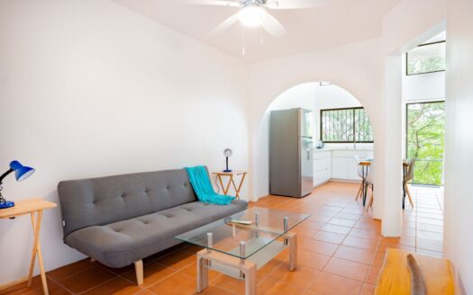 Pura Vida condo #1