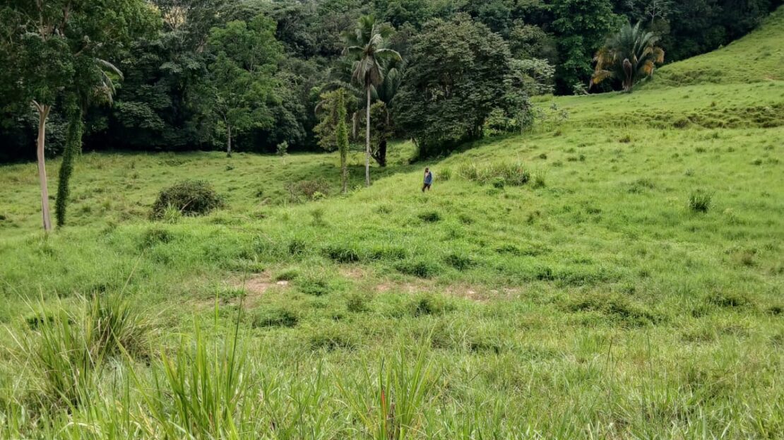 Pérez Zeledón For Sale 35404 | RE/MAX Costa Rica Real Estate