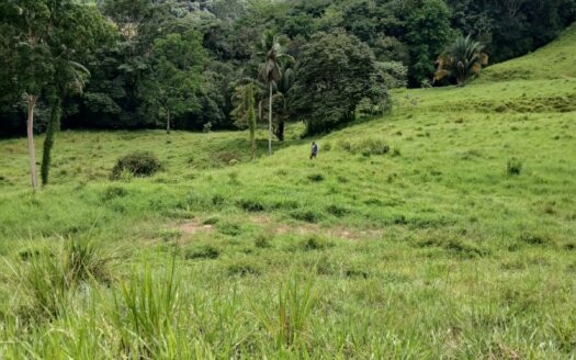 Pérez Zeledón For Sale 35404 | RE/MAX Costa Rica Real Estate