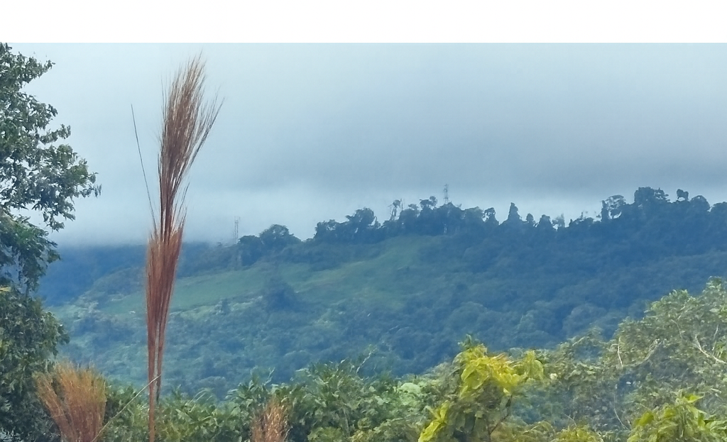 Pérez Zeledón For Sale 35618 | RE/MAX Costa Rica Real Estate