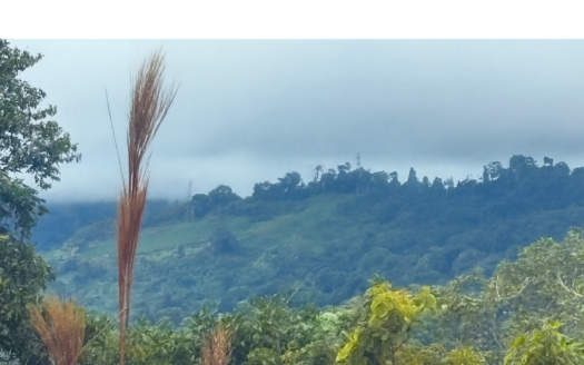 Pérez Zeledón For Sale 35618 | RE/MAX Costa Rica Real Estate