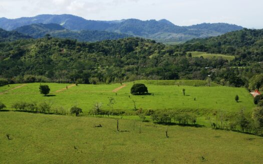 Quepos For Sale 30927 | RE/MAX Costa Rica Real Estate