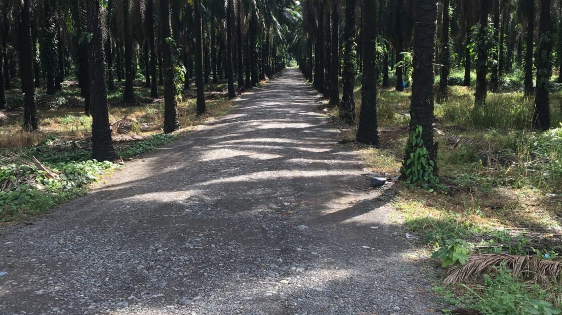 Quepos For Sale 30939 | RE/MAX Costa Rica Real Estate