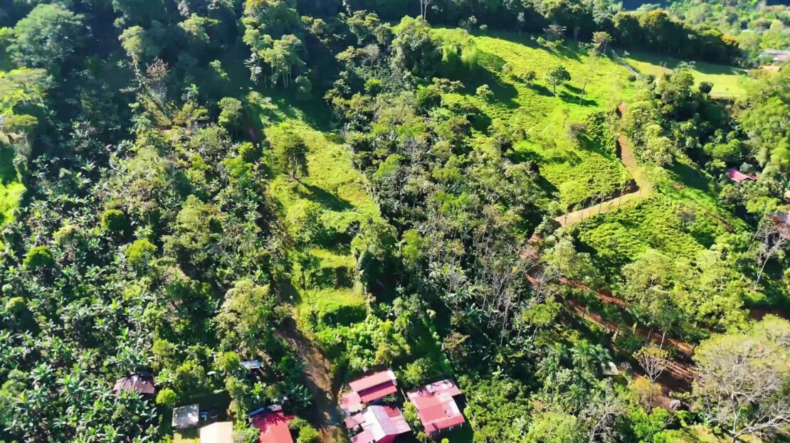 Seize This Rare Opportunity: 6