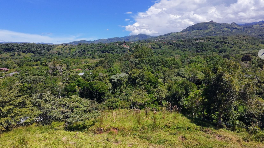 For Sale: 4 hectares  Farm. Unique Opportunity with Fertile Land