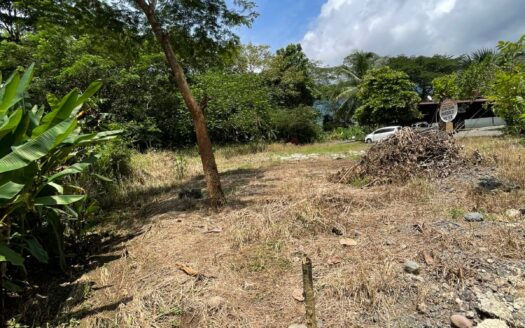 🏡 Lot for Sale – Playón de Turrubares 🌿