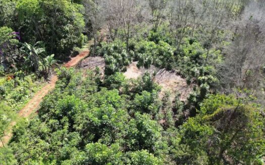 Stunning Lot for Sale (0.64 acres) in Santa Elena, San isidro de El General.