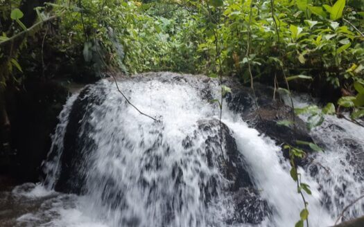 5 Pristine Waterfalls on More than 17 Acres- bordering reserve