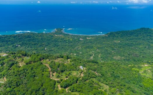 Over 60 hectares with stunning ocean and mountain view.