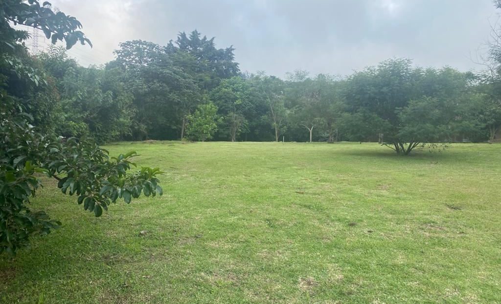 Escazu