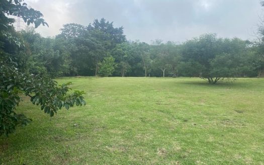 Escazu