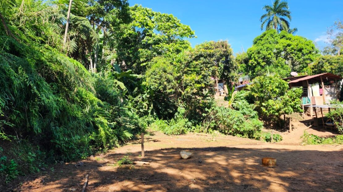 Costa Rica Real Estate