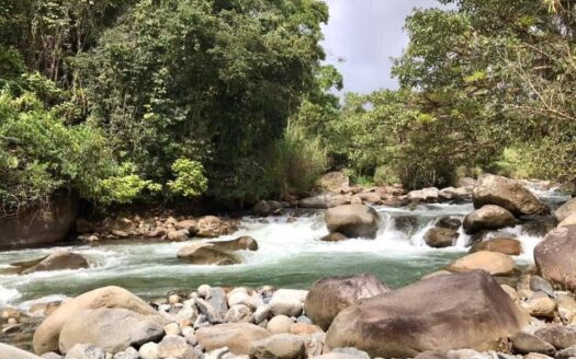 Pristine Riverfront Property for Sale in the Mountains of Costa Rica – 2.7 Hectares with Public Services for Just $115,000