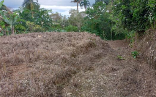 Spacious lot with water, electricity, easy access and only 45 minutes from Walmart