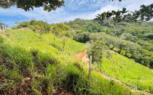 Expansive farm with views and pristine water only 15 minutes from Walmart.