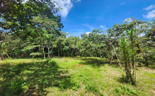 Quiet and peaceful farm in Quizarra, Perez Zeledon!