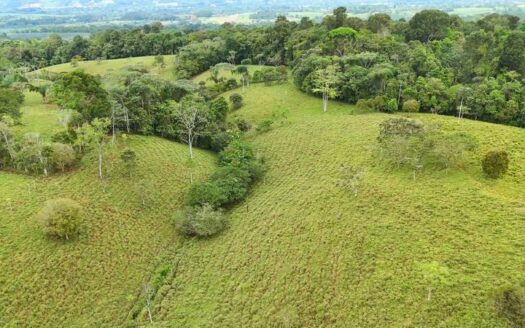 BEAUTIFUL LAND FOR SALE IN THE HEART OF SAN FRANCISCO DE CAJON, 96 ACRES