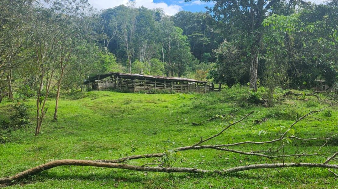 500+ acres in Baru