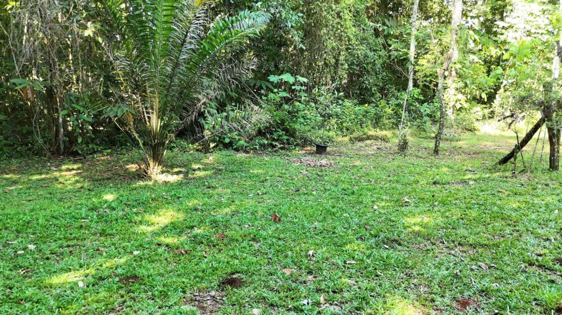 Costa Rica Real Estate