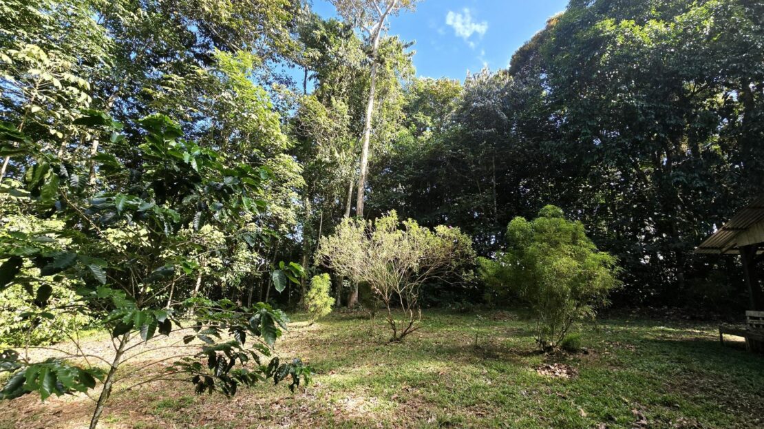 545 M² For Sale In Peñas Blancas