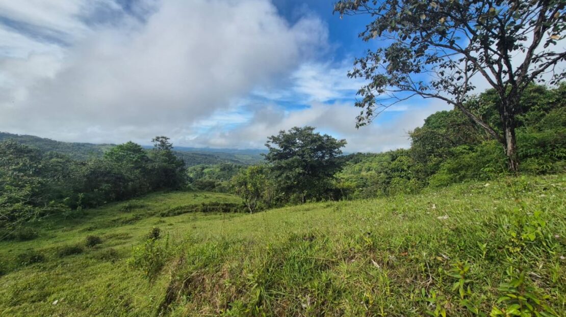 Convenient 7+ acre farm with various water sources in San Blas