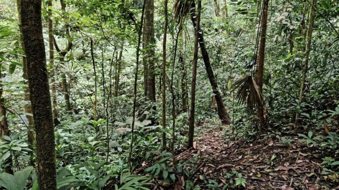 Costa Rica Real Estate