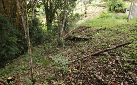 Premium Residential Lot For Sale Just 5 Km From San Isidro – Exclusivity & Value Guaranteed