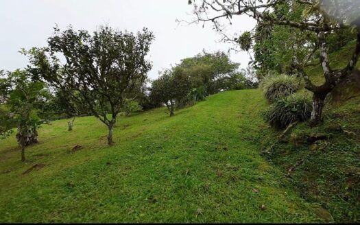 For Sale: Spring Water, Fruit Trees & Beautiful Views