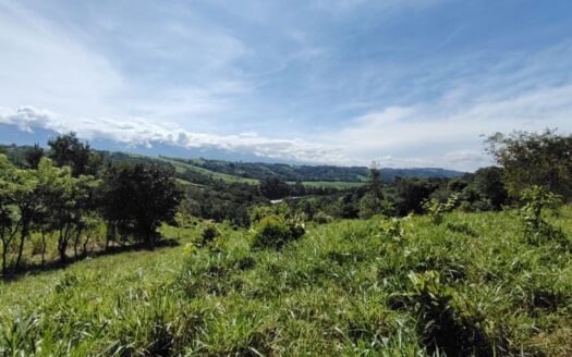 For Sale- 205,799 M² By The General River – Perfect For Recreation, Farming & Dream