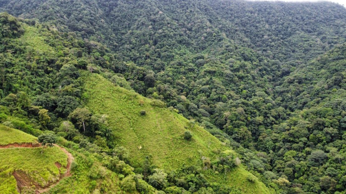 For Sale: 104-Acre Osa Property With Ocean Breezes And Mountain Backdrop