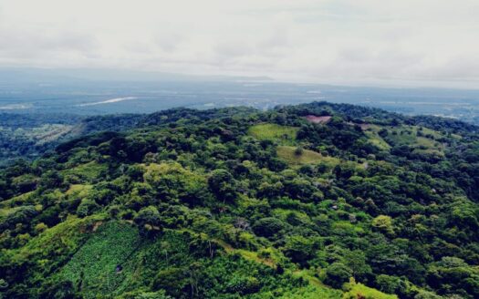 Osa