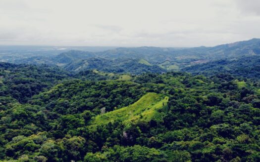 For Sale: 104-Acre Osa Property With Ocean Breezes And Mountain Backdrop