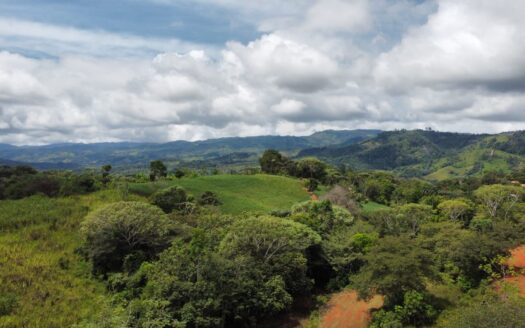 For Sale: 1704 M² Land Investment With Privacy