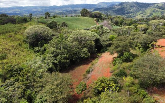 Smart investment: Lots for sale with access to schools, supermarkets, and hospital